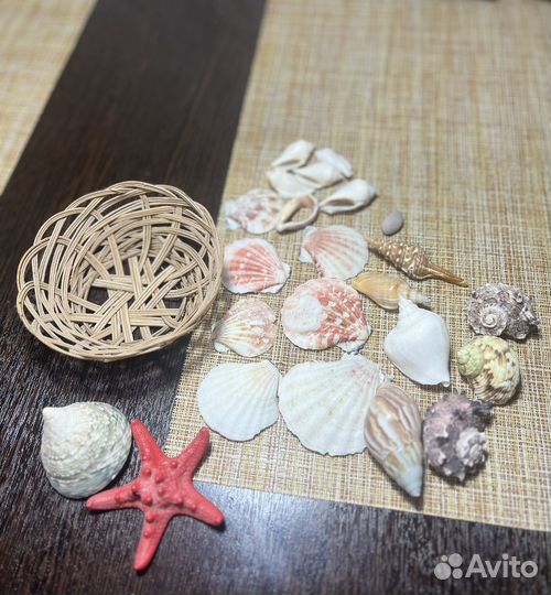 Корзинка с морскими ракушками