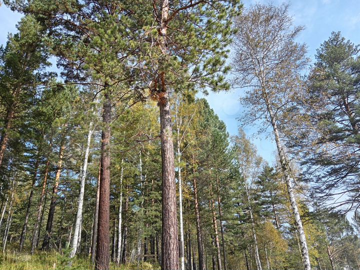 Коттедж 105 м² на участке 10 сот.