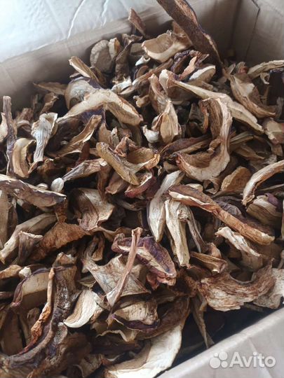 Сушеные грибы