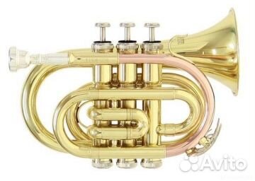 Труба Roy Benson рт-101 (Pocket) в ассортименте