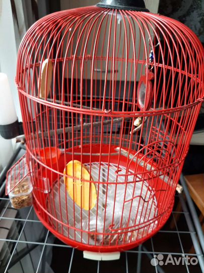 Клетка для птиц