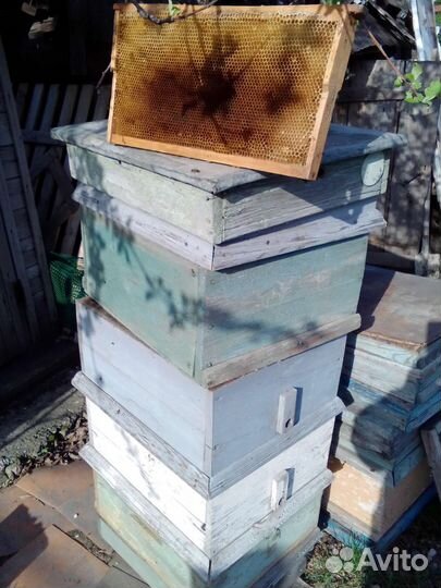 Прицеп для пасеки