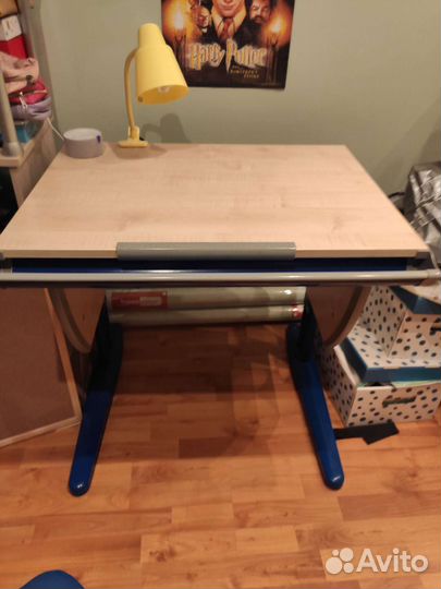 Растущая парта и стул Дэми