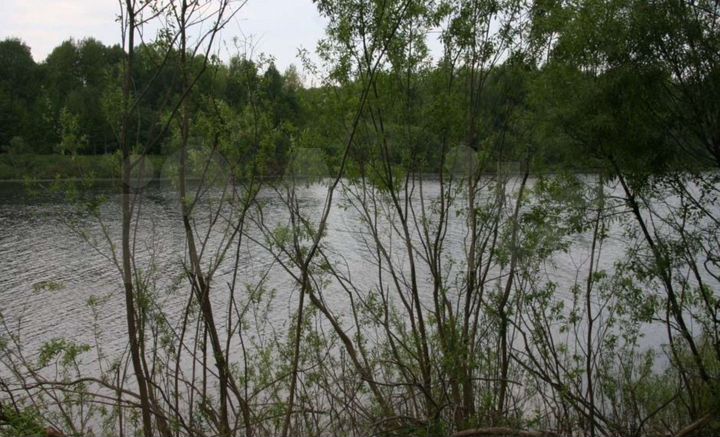 Участок 5,3 га (СНТ, ДНП)