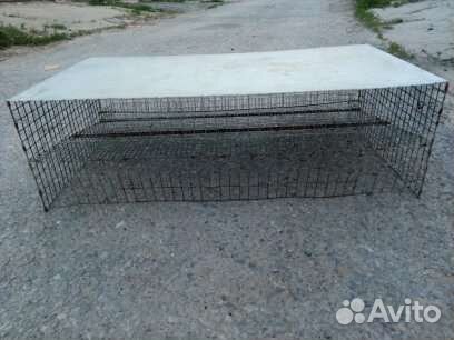 Клетки для перепелов