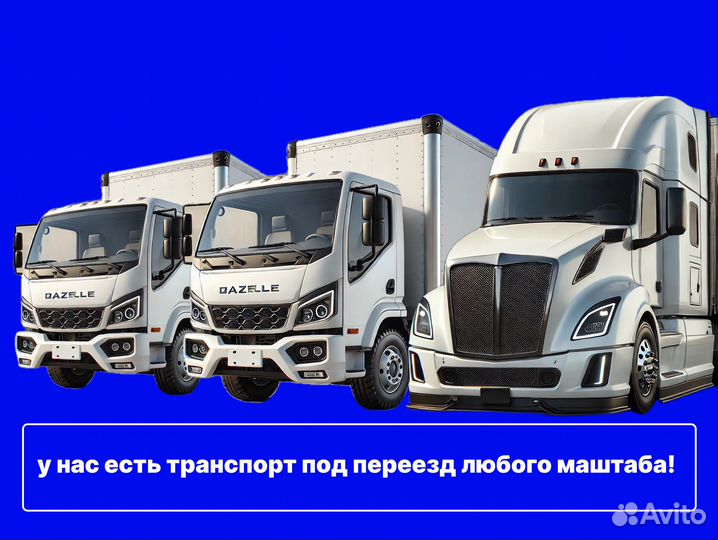 Переезды от 200 км, межгород, грузоперевозки