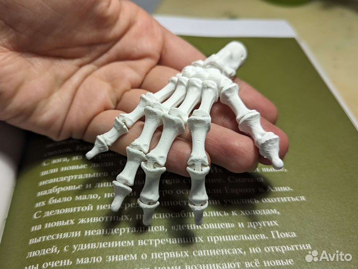 Скелет руки - аксессуар на Хэллоуин