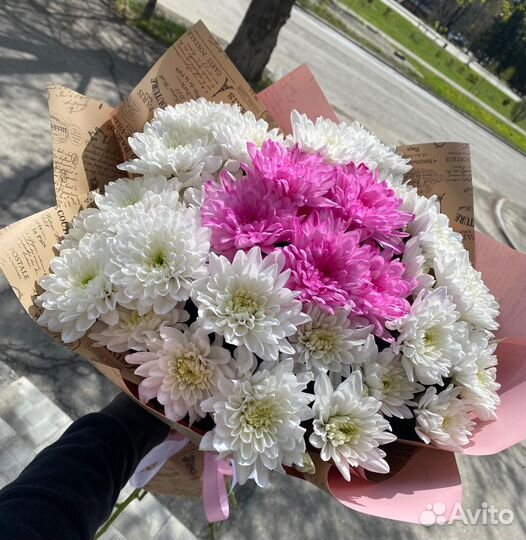 Хризантема кустовая букет доставка бесплатно