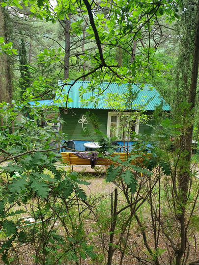 Комната 17 м² в 1-к., 1/1 эт.