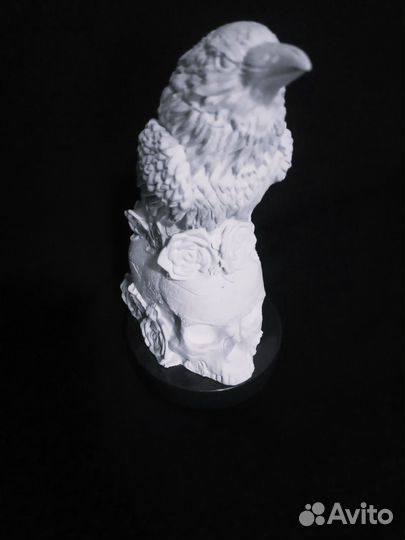 Ворон проводник, гипс