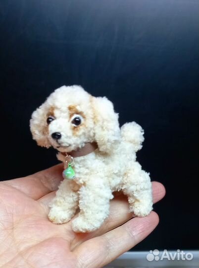 Щенок пуделя, вязаная игрушка