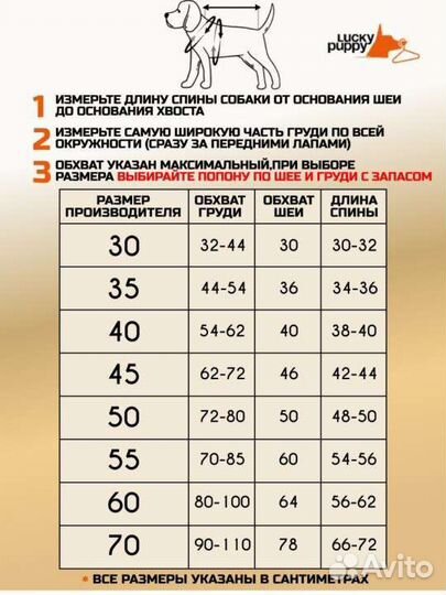 Новая попона для собак