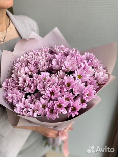 Хризантема, хризантема кустовая, букет