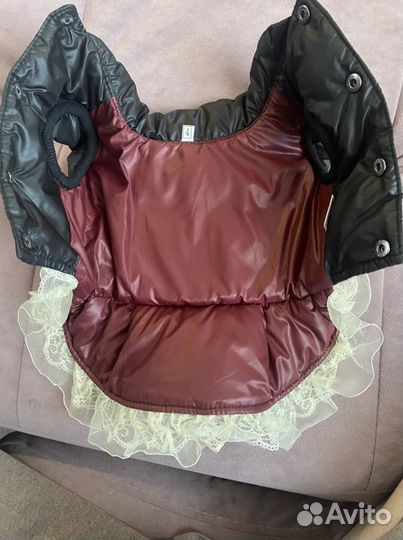 Одежла для собак