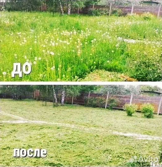 Помощь на даче покос травы и мастер на час