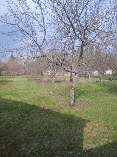 Участок 16 сот. (ИЖС)