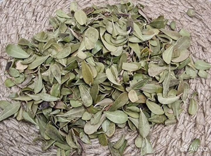 Толокнянка лист 1 кг