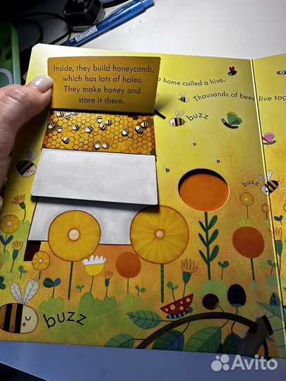 Книга с окошками Usborne