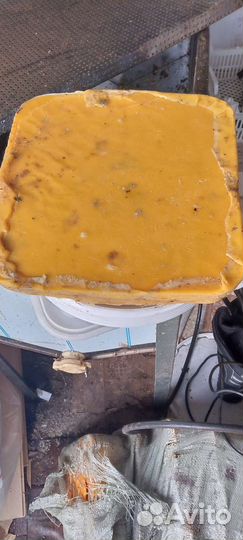 Воск пчелиный продам