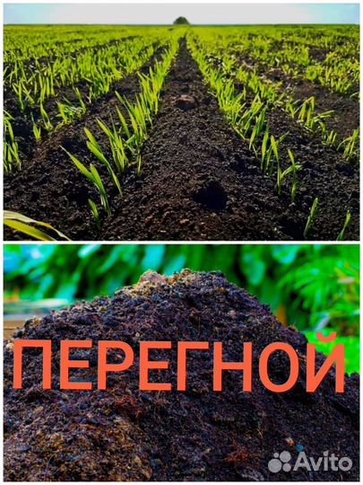 Перегной, навоз, чернозем