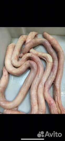 Бычий корень