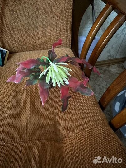 Аксессуары для аквариума