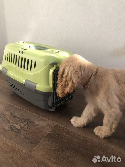 Переноска для животных