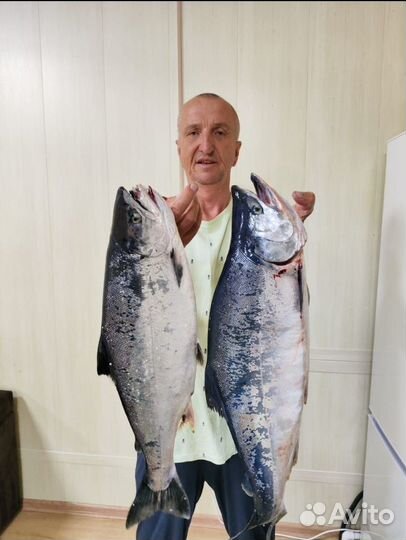 Трофейная рыбалка в Приморском крае