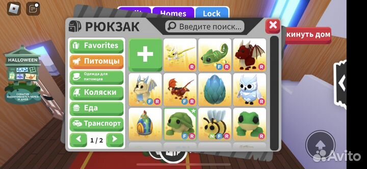 Петы адопт ми