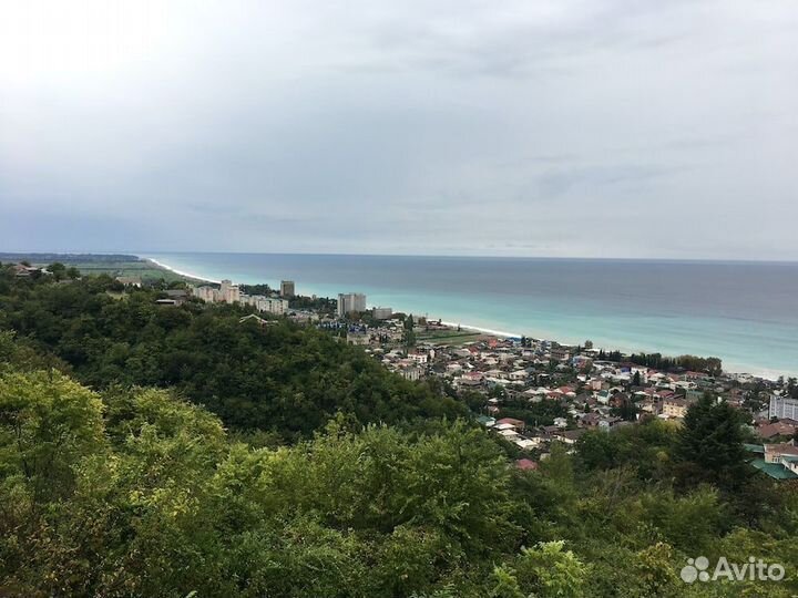 Отдых в Абхазии 