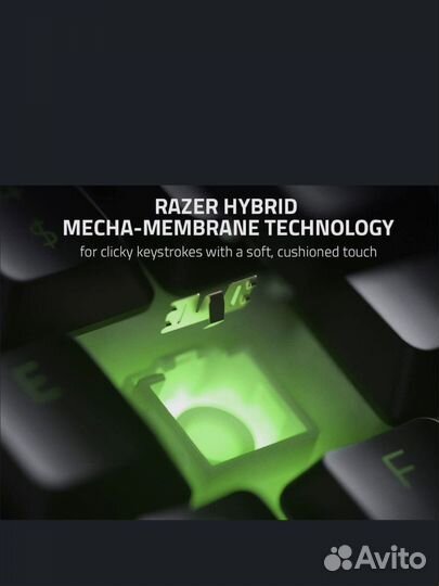 Игровая клавиатура Razer Ornata v2