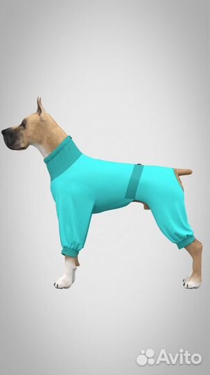 Одежда для собак. Любых размеров и цветов