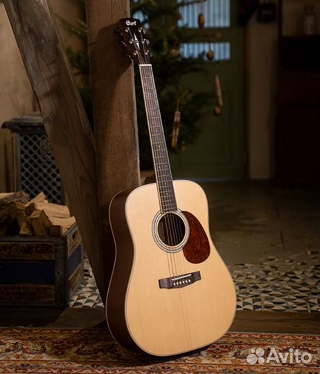 Cort Earth - серия отличных гитар из массива ели