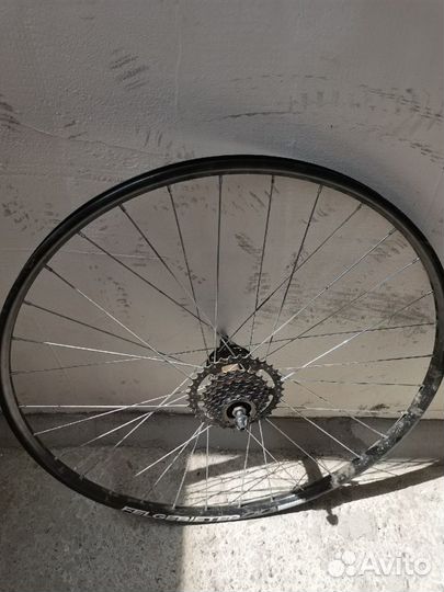 Колесо заднее felgebieter 29