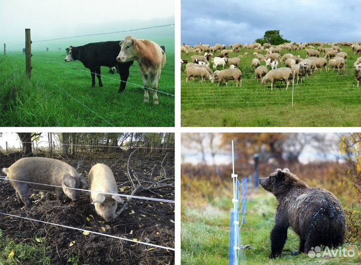 Электропастух