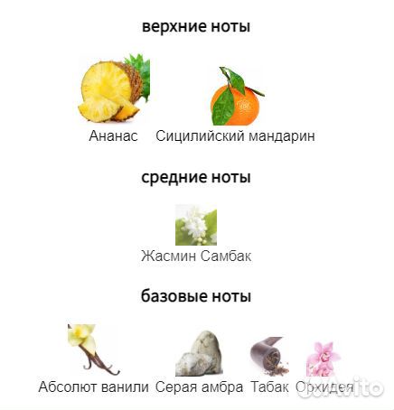 Pineapple Dolce&Gabbana