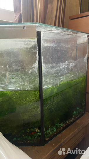 Аквариум с рыбками
