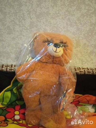 Медведица с ресничками