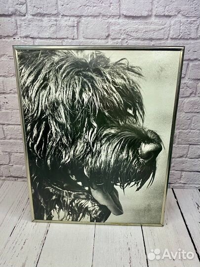 Фотокартина СССР