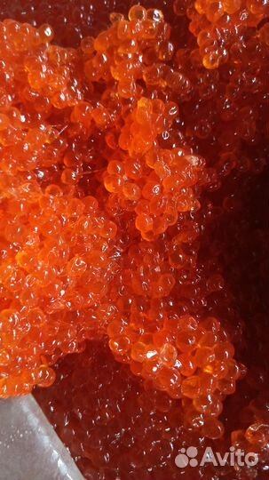 Икра красная оптом и в розницу