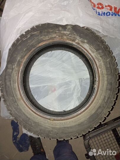 Nokian Tyres Nordman 4 175/65 R14