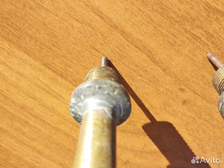 Тэн водяной