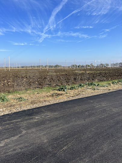 Участок 1 сот. (ИЖС)