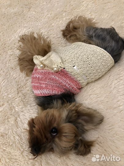 Вязание спицами на заказ для собак и кошек