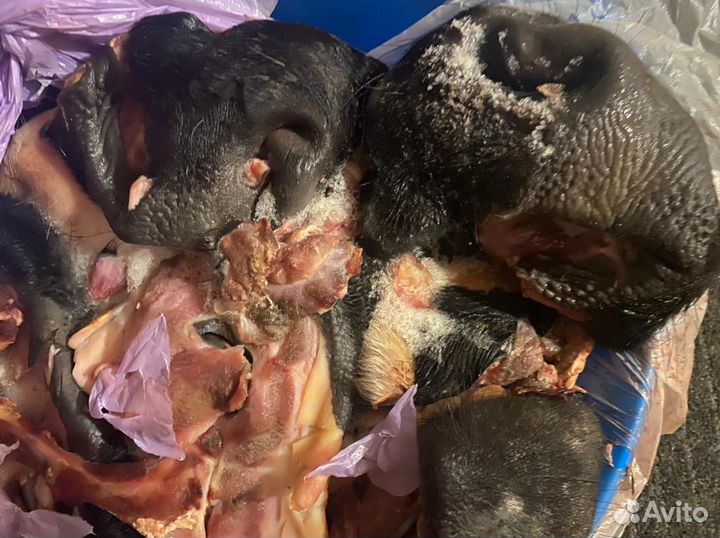 Корм для собак говяжий, губы, носы, шипы