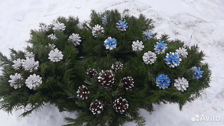 Букет из Пихты