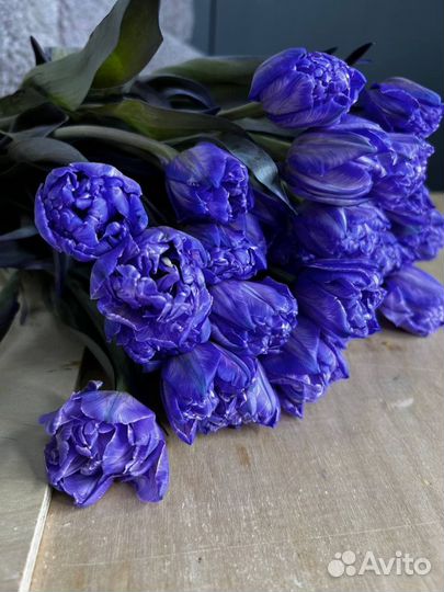 Тюльпаны букет