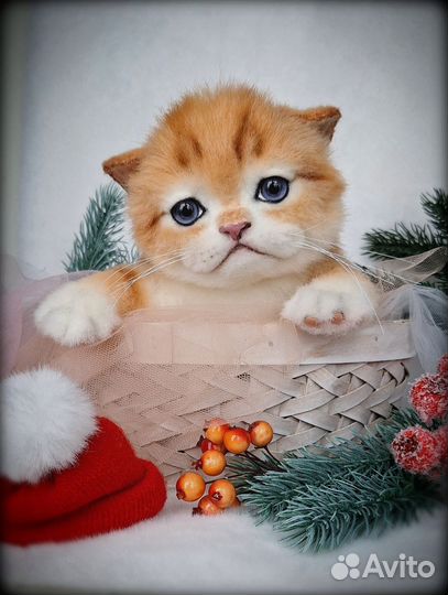 Котёнок рыжий игрушка