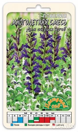 Лобелия меоголетняя для сырых почв