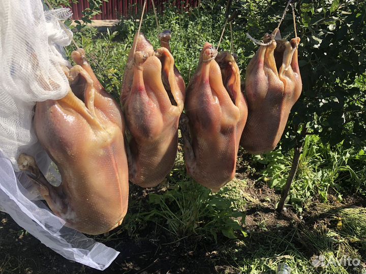 Гусь вяленый